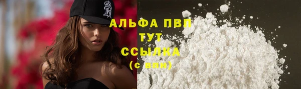 молекула духа Аркадак