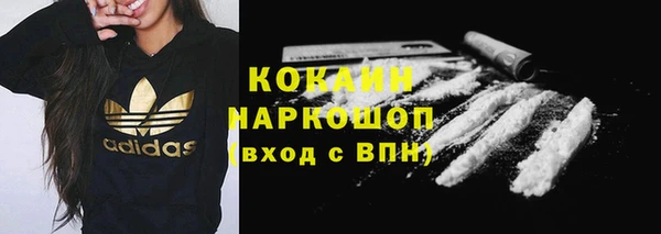 индика Армянск