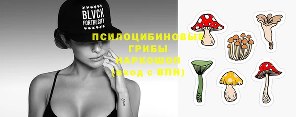 spice Арсеньев