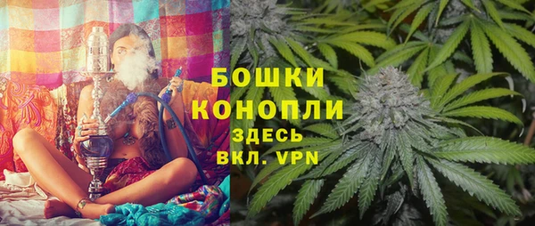 молекула духа Аркадак