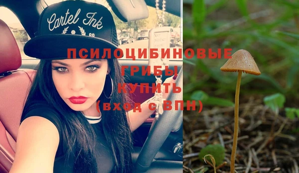 молекула духа Аркадак