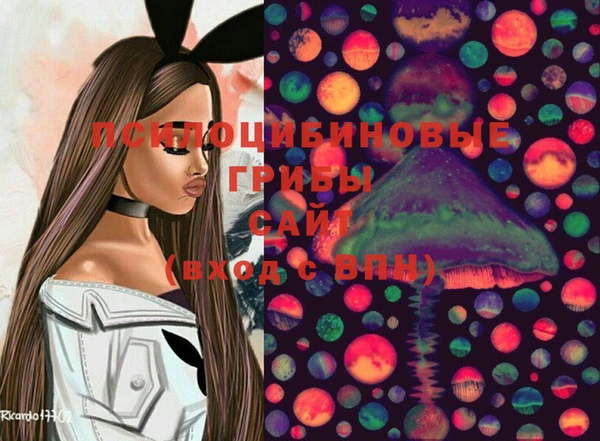spice Арсеньев