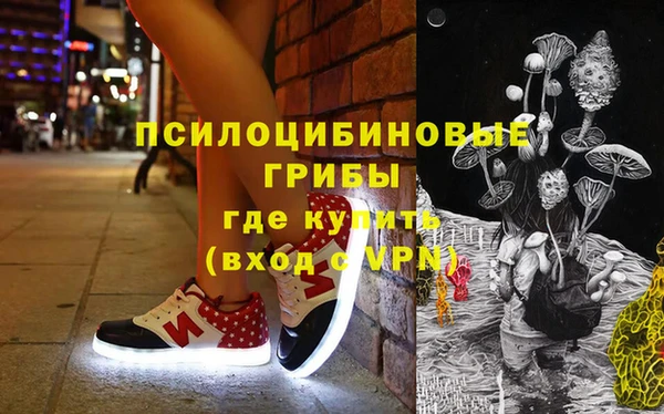 индика Армянск
