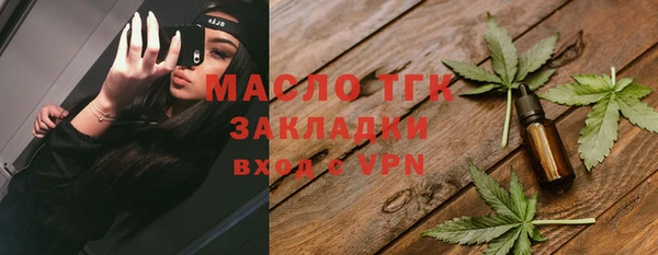 индика Армянск