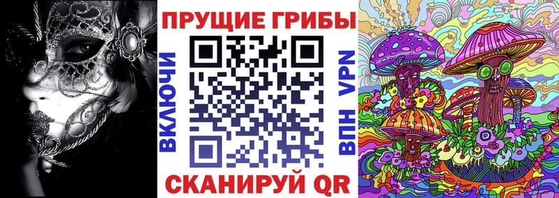 OMG маркетплейс  Георгиевск  Псилоцибиновые грибы ЛСД 